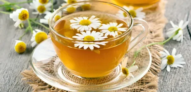 Chamomile