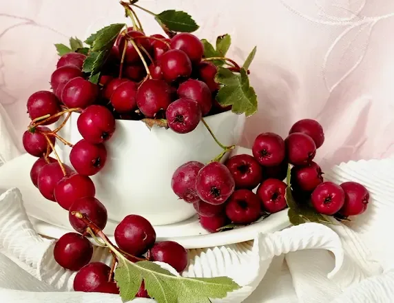 Hawthorn